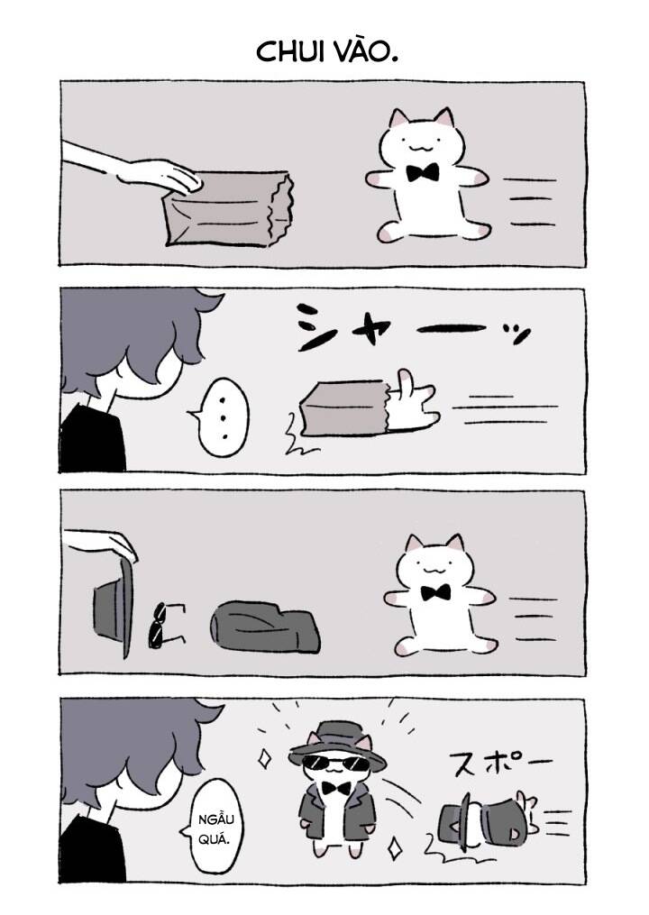 chú mèo kỳ diệu kyuu-chan chapter 800.5 8