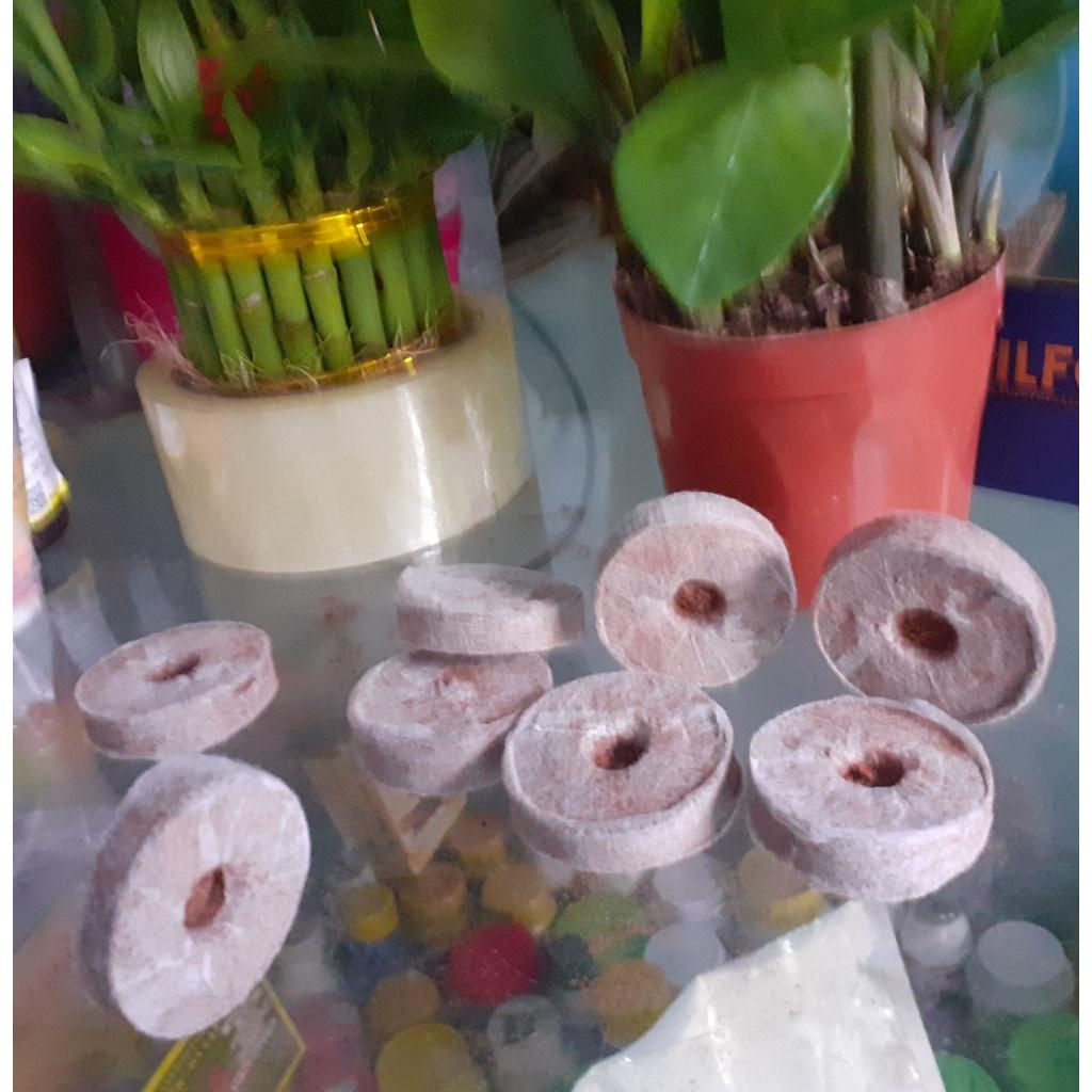 Túi 10 viên sơ dừa viên nén