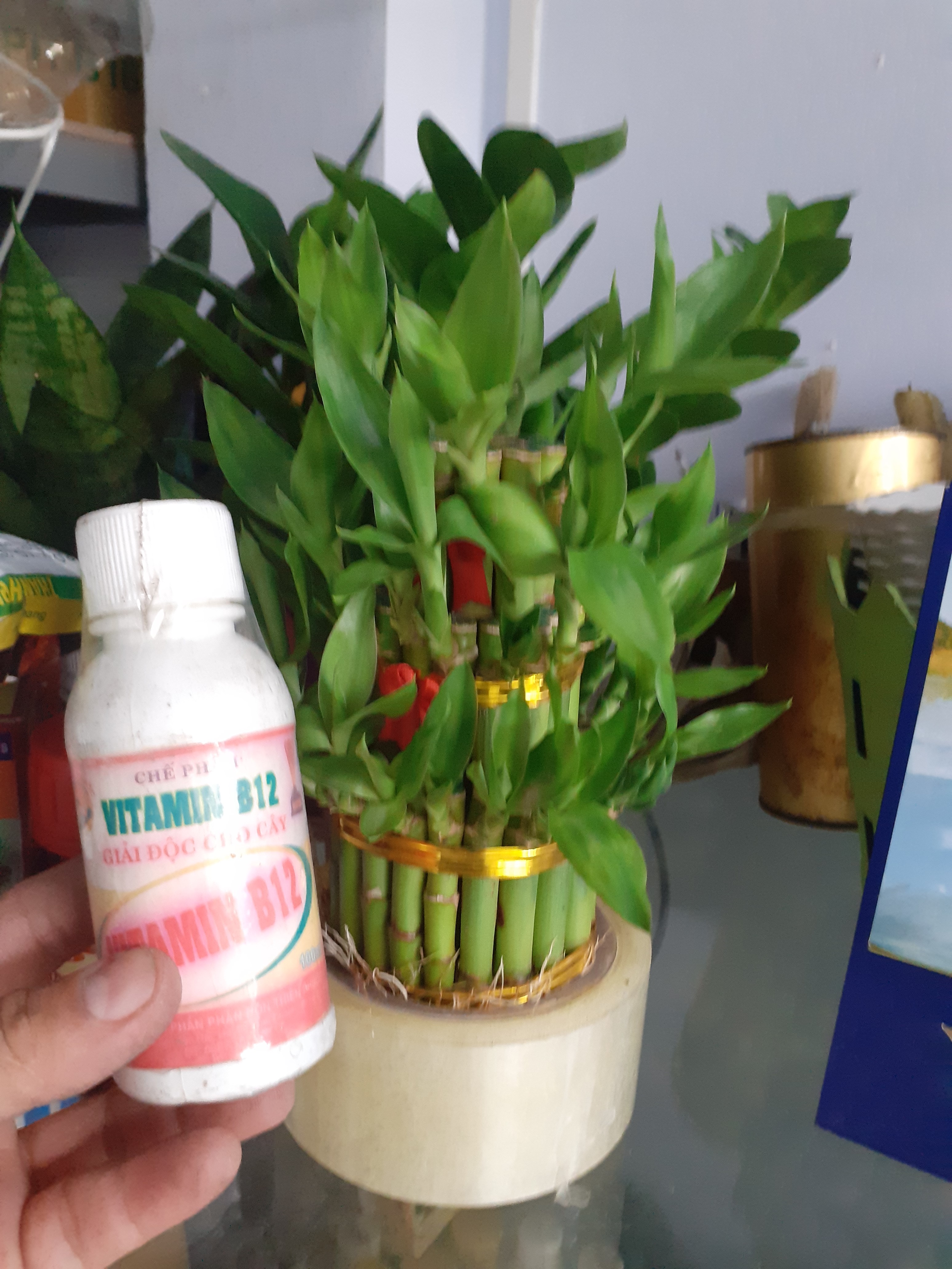 Chế phẩm giải độc cho cây Vitamin B12