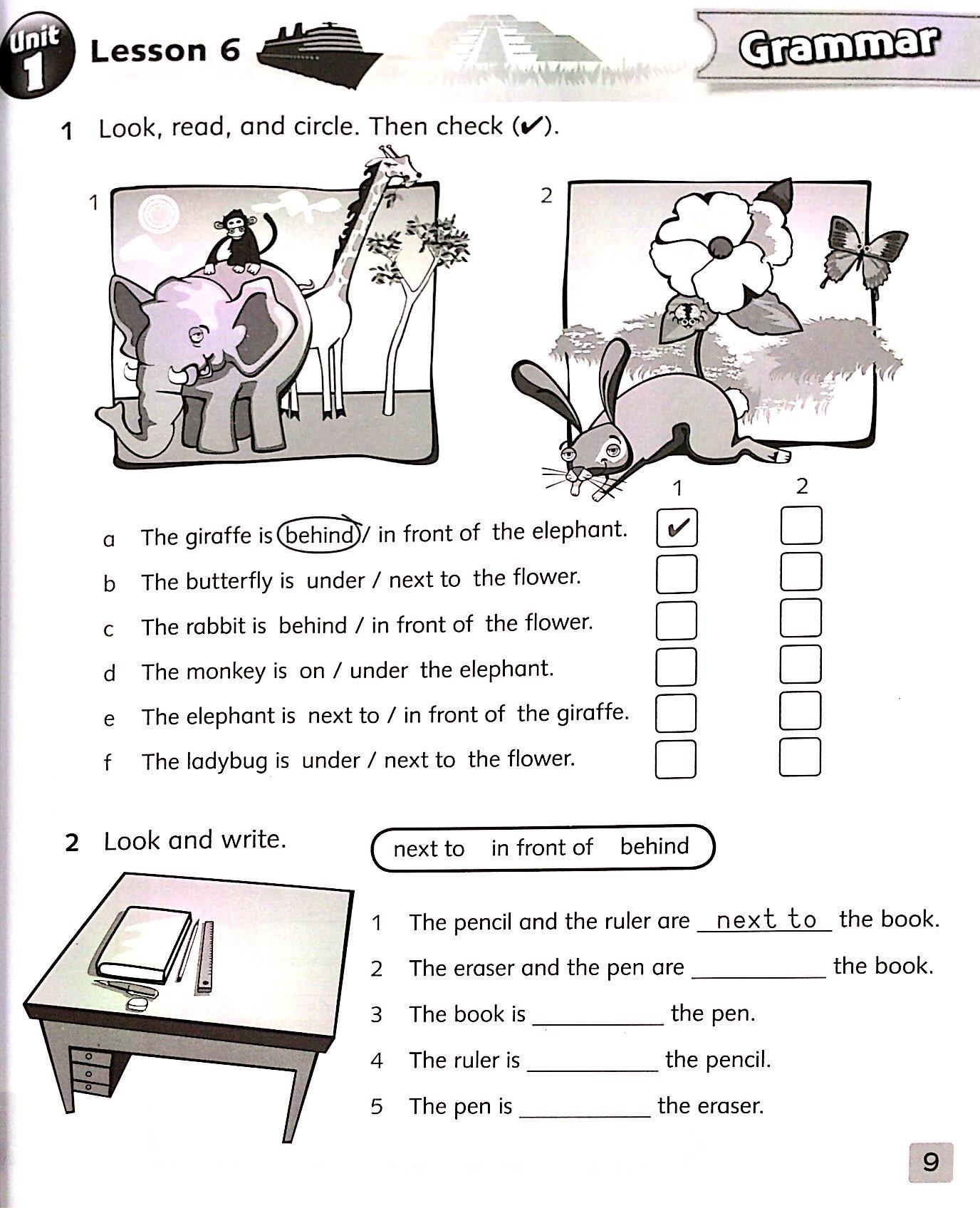 Next Move 3: Workbook - Paperback