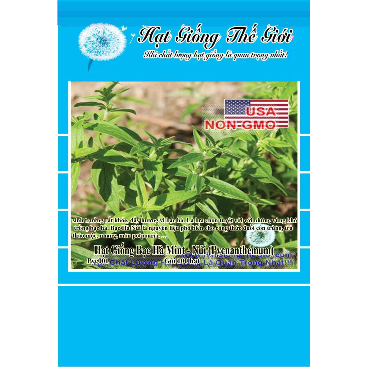 100h Hạt Giống Bạc Hà Mint - Núi