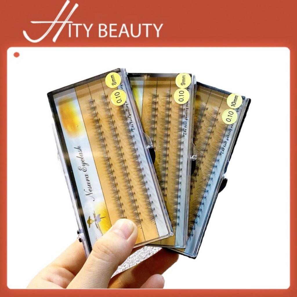 Hộp lông mi giả Nesura chùm đuôi cá sợi mi siêu nhẹ mềm mượt dành cho makeup trang điểm chuyên nghiệp - HIty Beauty