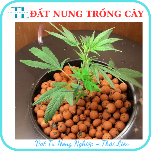 Hạt đất nung trồng cây thái lan, nhiều size, vô trùng, sử dụng lâu dài, trồng sen đá, phong lan, sứ, thuỷ canh (Bịch 1dm3 = 0.5kg)