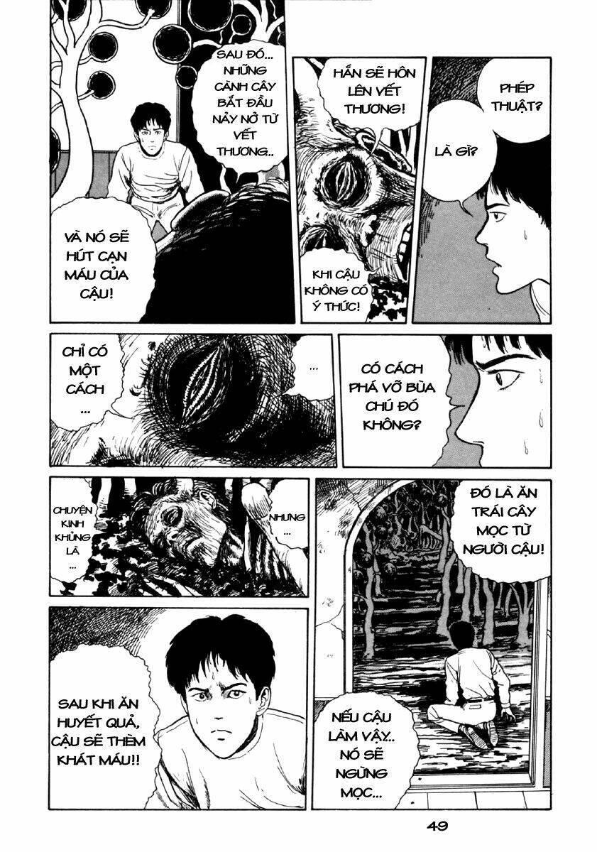 tuyển tập truyện ngắn kinh dị của ito junji chapter 8.1 48