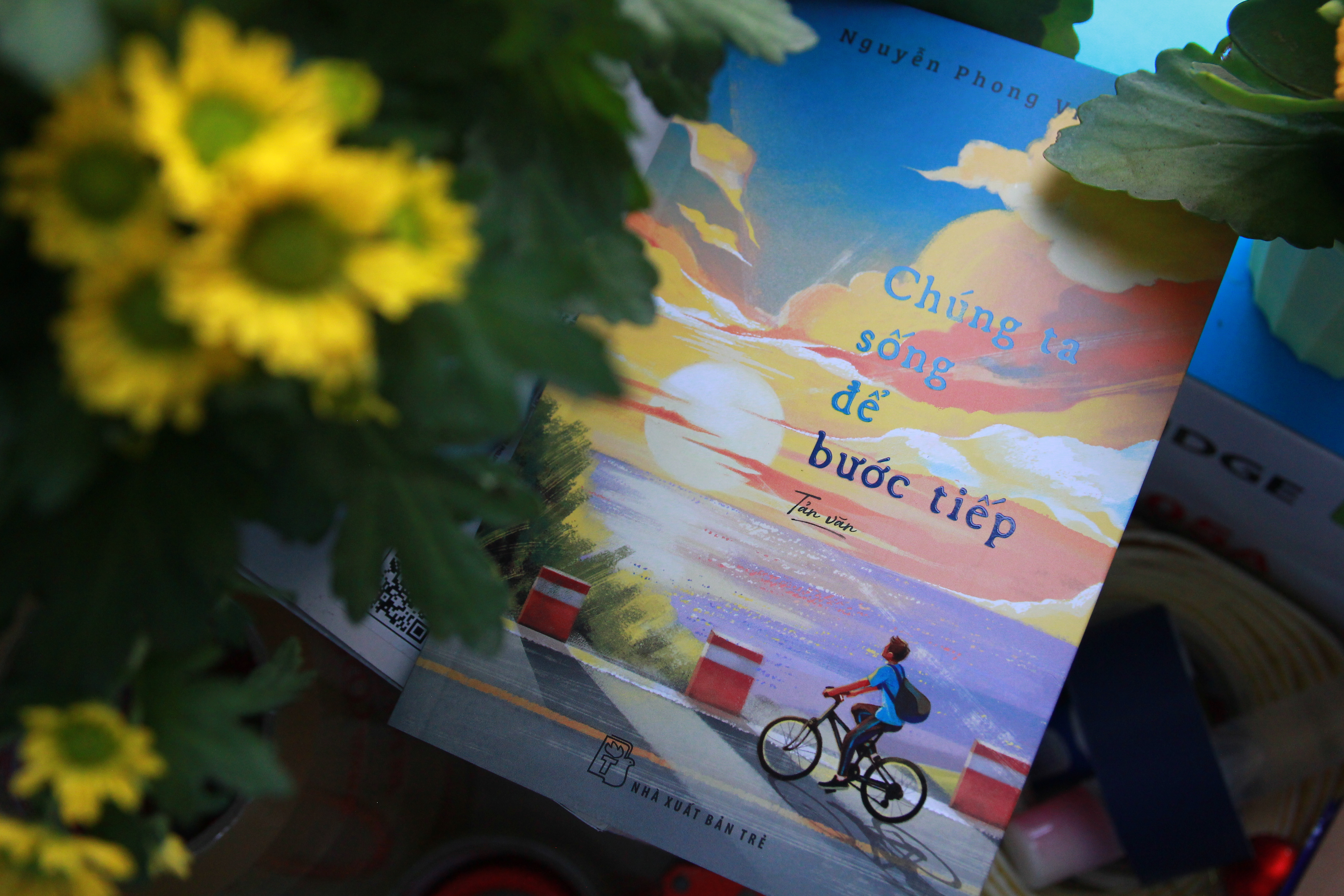 Chúng ta sống để bước tiếp