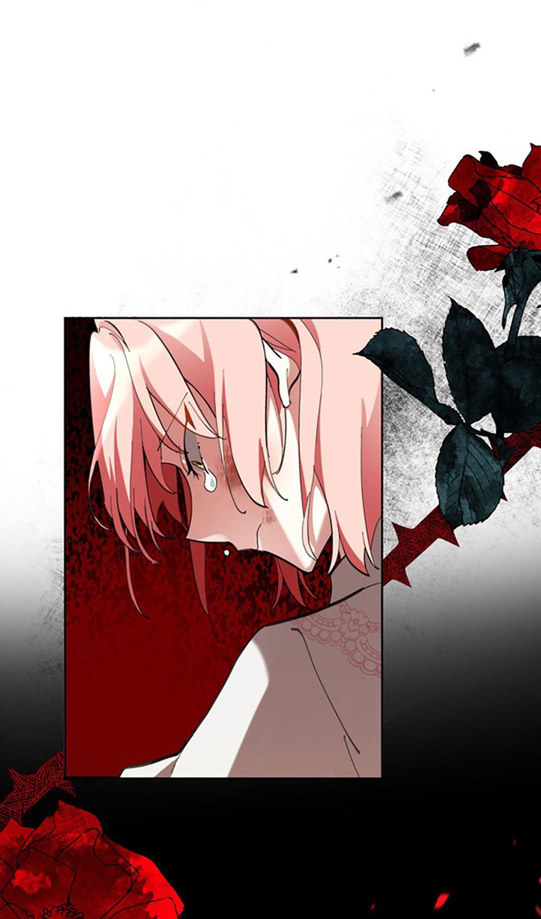 quý cô không thể chạm vào chapter 1 31