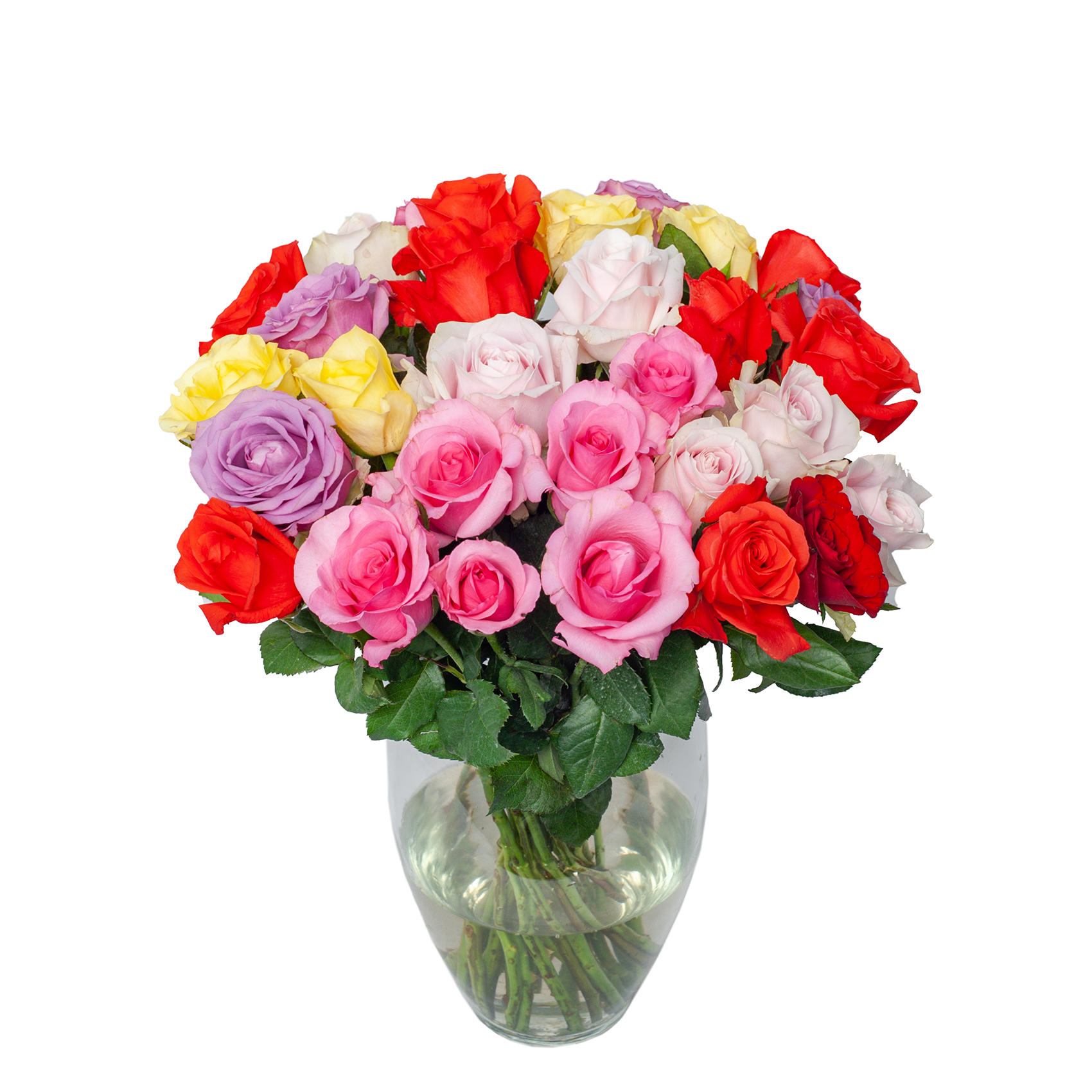 Hoa Hồng mix màu, Hoa Đà Lạt ( Bó 10 cành) - Hoa tươi cắm trang trí nhà cửa, văn phòng