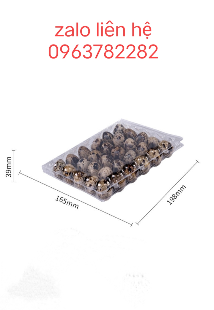 100 khay đựng trứng cút 30 trái
