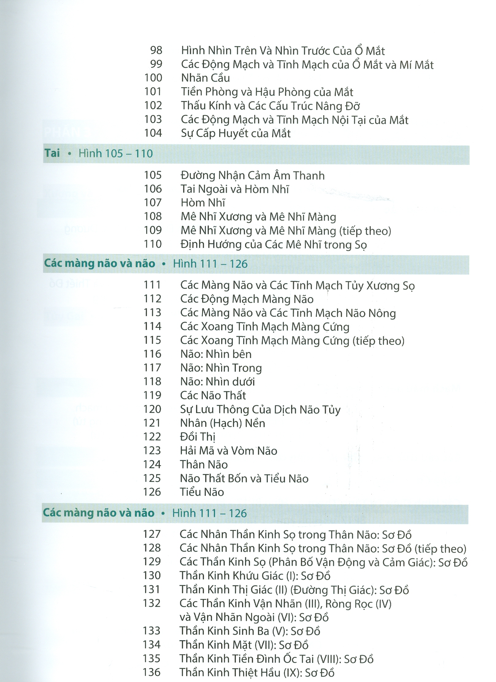 ATLAS GIẢI PHẪU NGƯỜI - In Lần Thứ IV (năm 2022) Theo Ấn Phẩm Lần Thứ VII Của Nxb Elsevier Có Sửa Chữa Và Bổ Sung (ATLAS OF HUMAN ANATOMY  Seventh Edition)