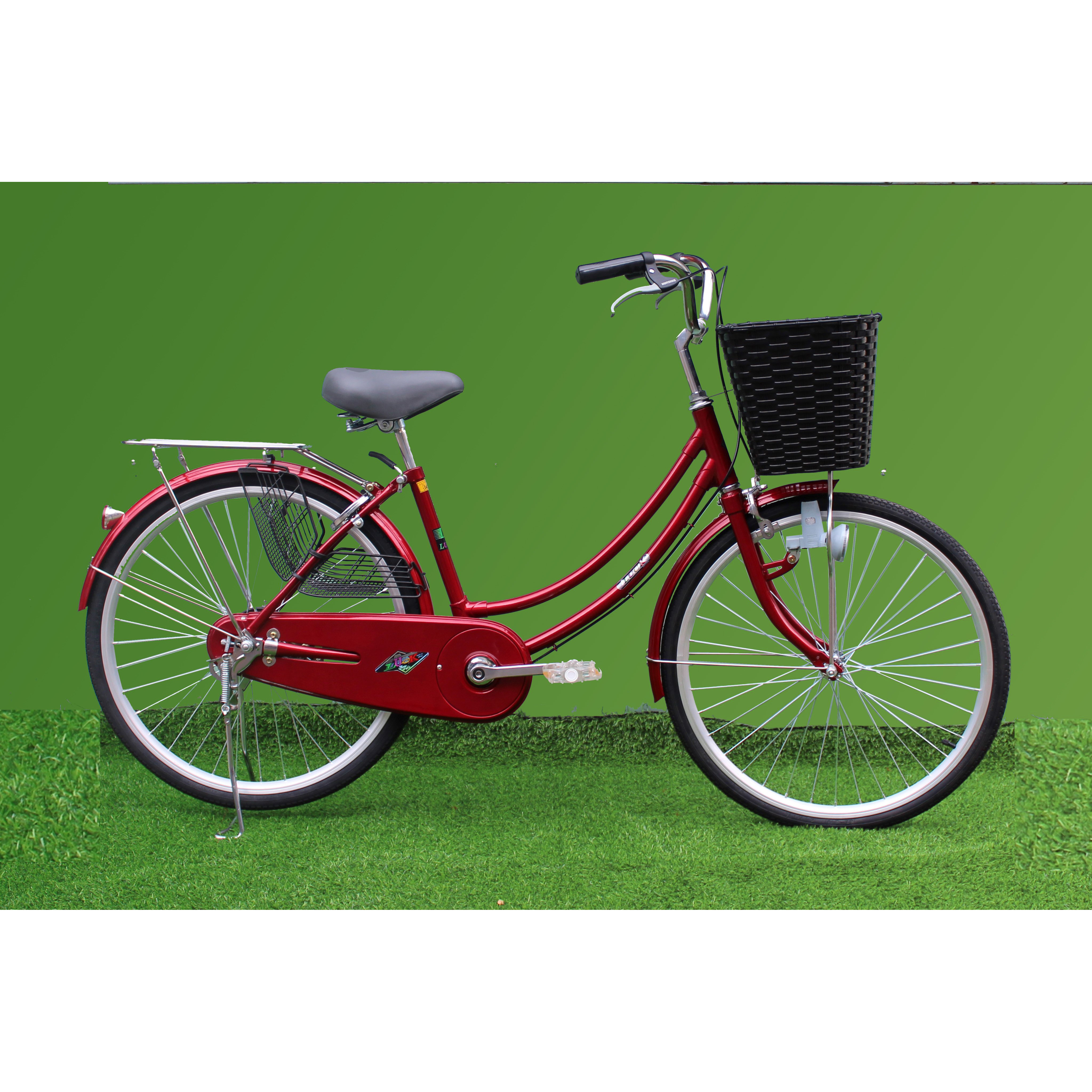 Xe đạp thời trang SMNBike MNN 24-01