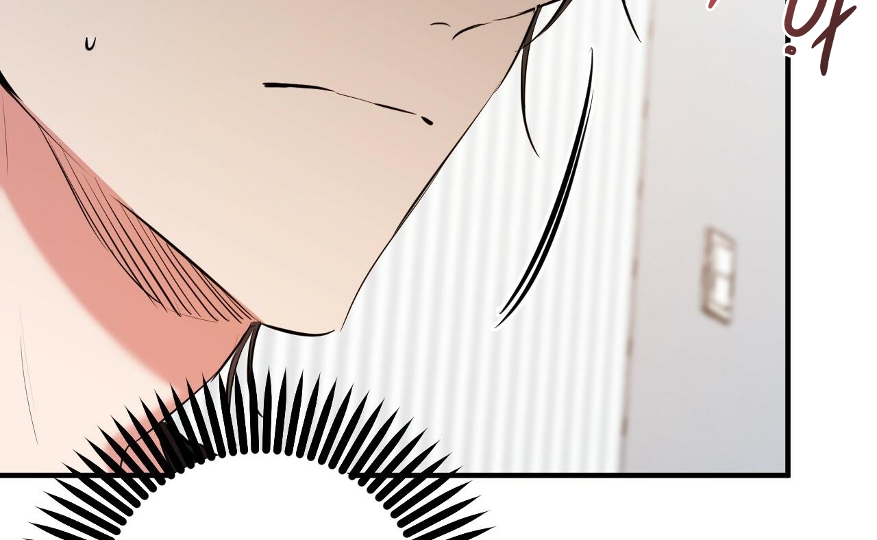 đàn thỏ của habibi chapter 52 45