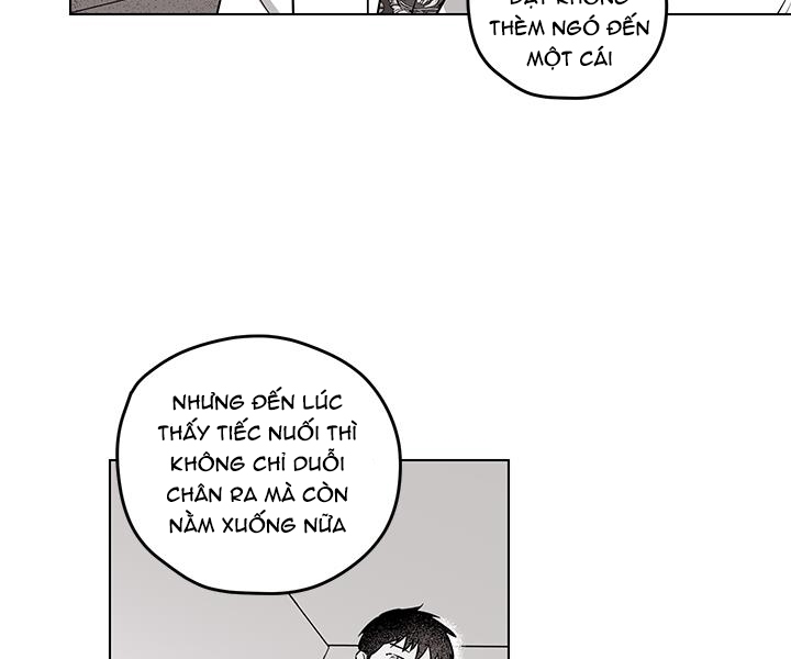 bữa tiệc của những đóa hoa chapter 22 137