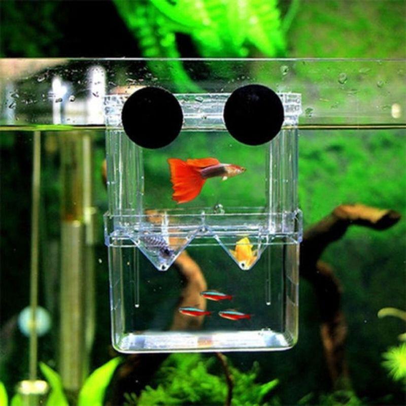 Lồng đẻ cho cá, tép cảnh bằng mika- box tách cá đẻ- phụ kiện thủy sinh cá tép cảnh