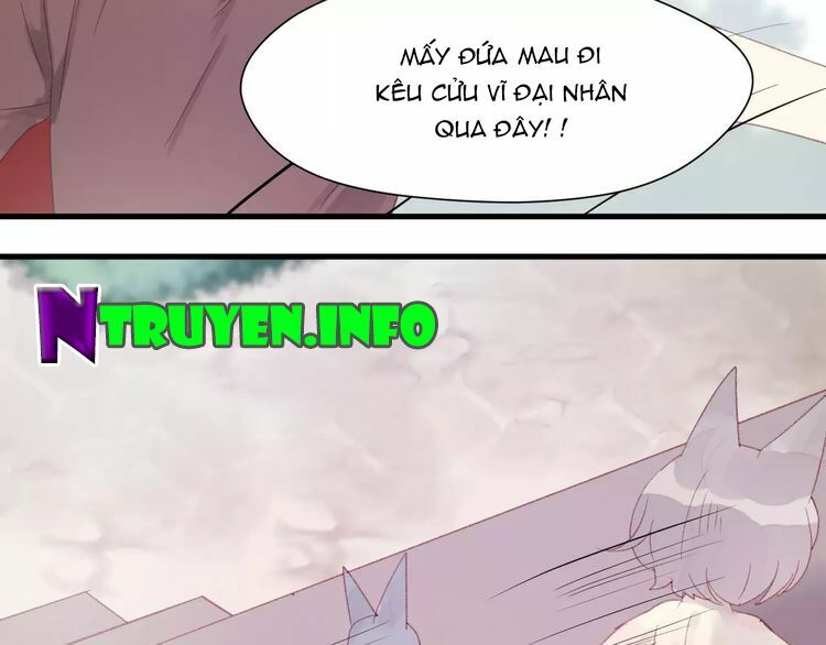 lượm được một tiểu hồ ly phần 2 chapter 5 8