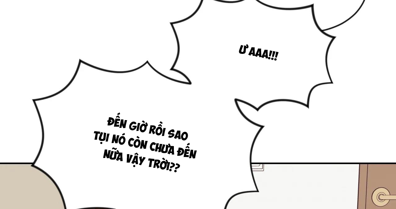 tiêu chuẩn tình yêu 100% chapter 2 164