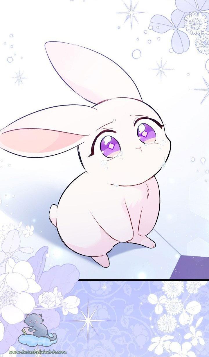 quan hệ cộng sinh giữa báo đen và thỏ trắng chapter 58 64