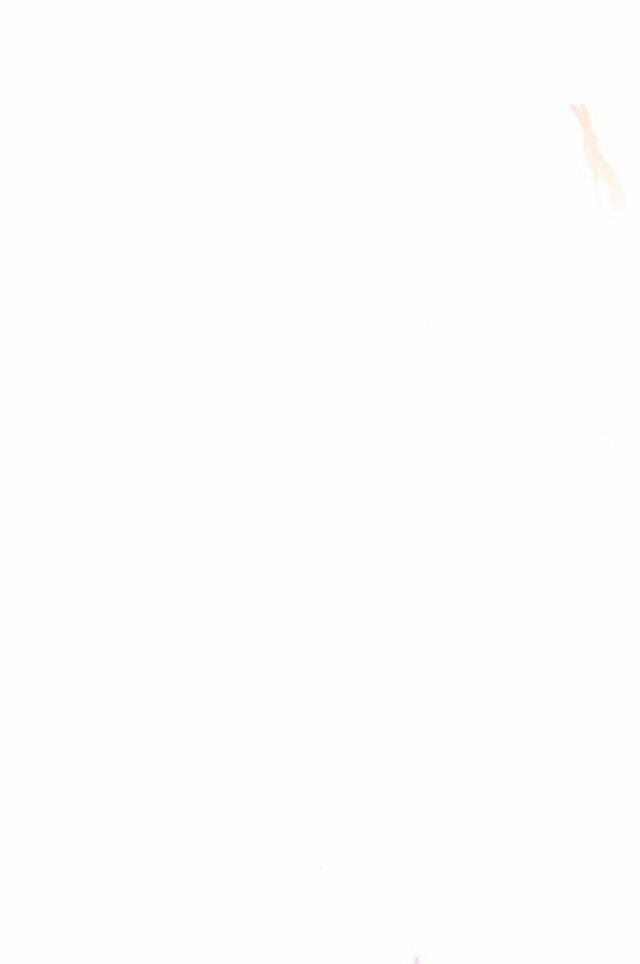 nếu là phản diện, liệu tôi sẽ chết? chapter 3.1 30