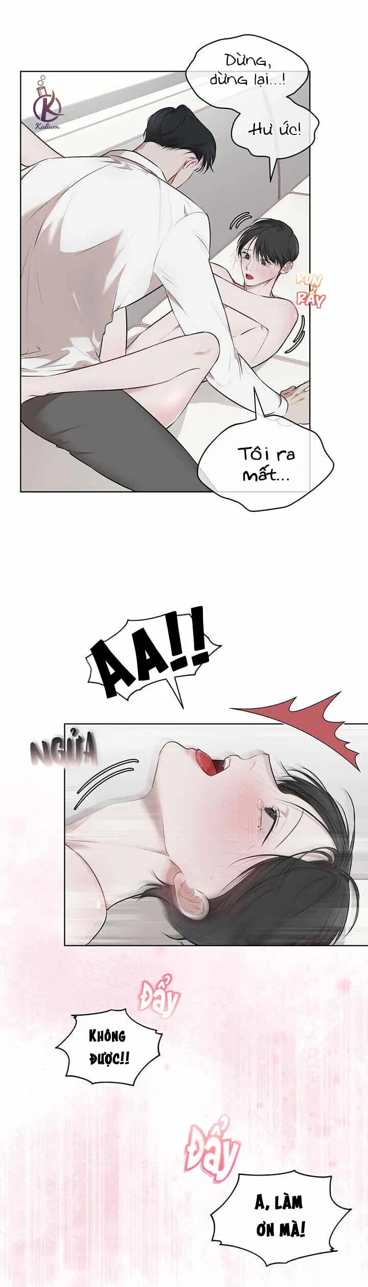 hình thái khởi sinh chapter 23 2