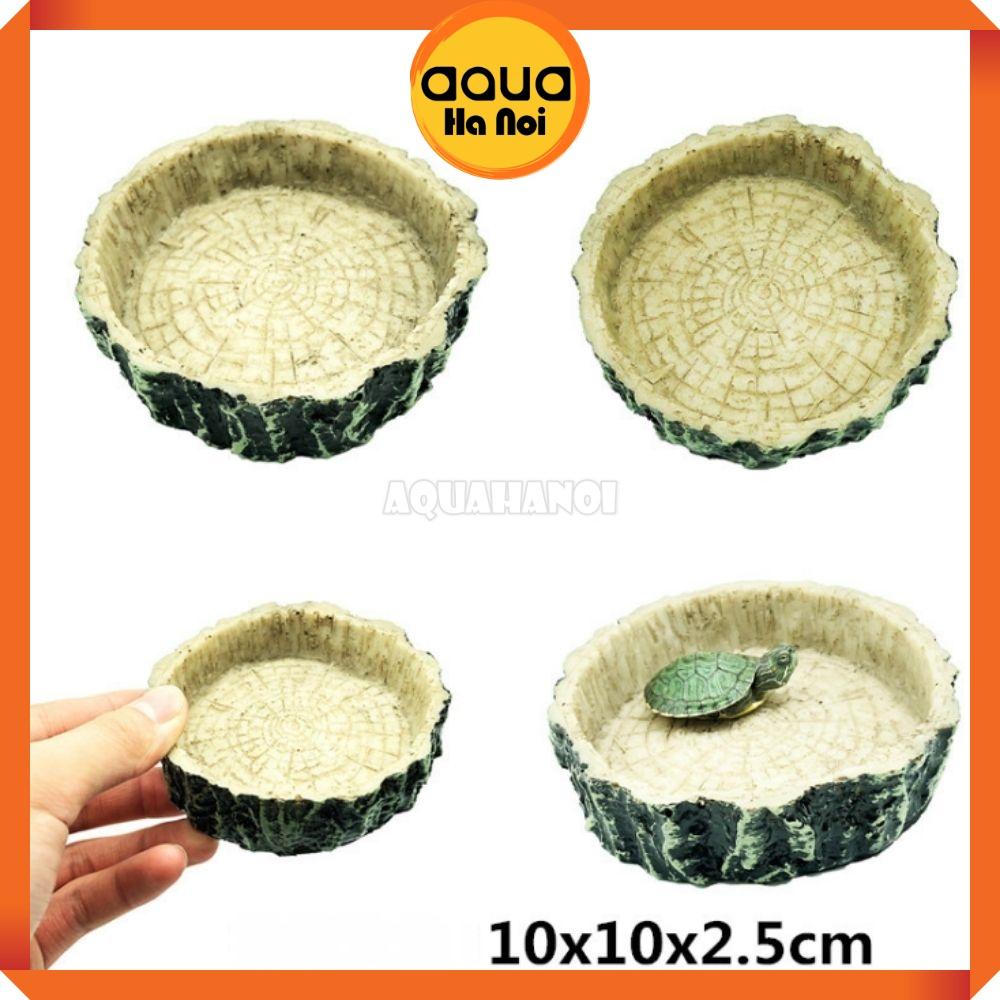 Đĩa cho bò sát, cá tép cảnh ăn giả gốc lũa 10*10*2.5 cm