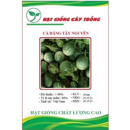 Hạt giống cà đắng Tây Nguyên CT75 - Gói 20 hạt