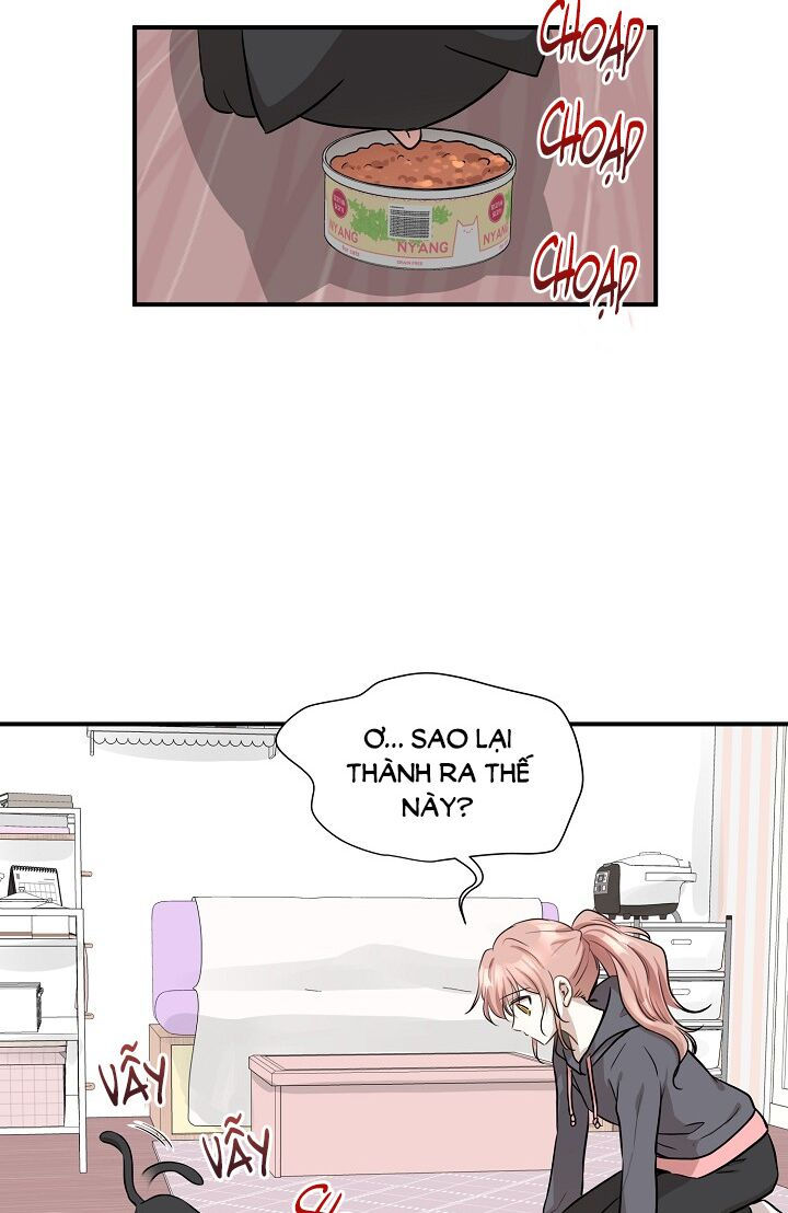 cuộc sống kỳ thú chapter 52 34