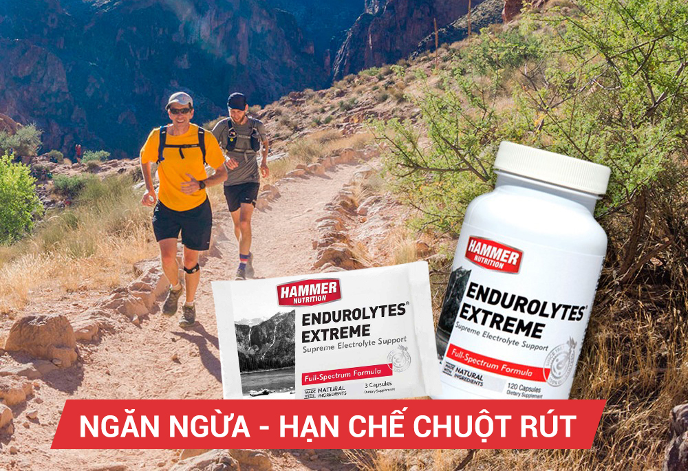 Bộ 4 gói Viên uống điện giải- Hammer Nutrition Endurolytes Extreme