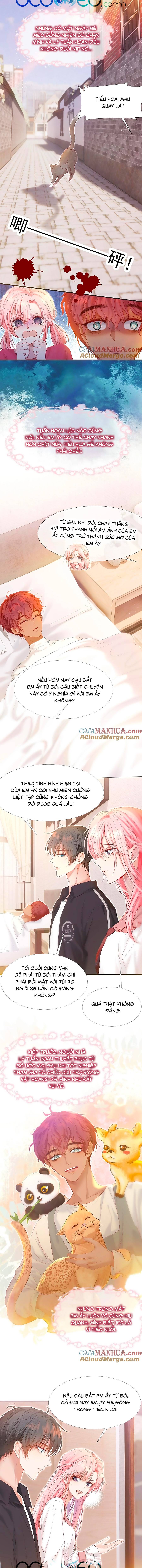 trọng sinh trở về năm ấy chồng tôi là hotboy chapter 36 5