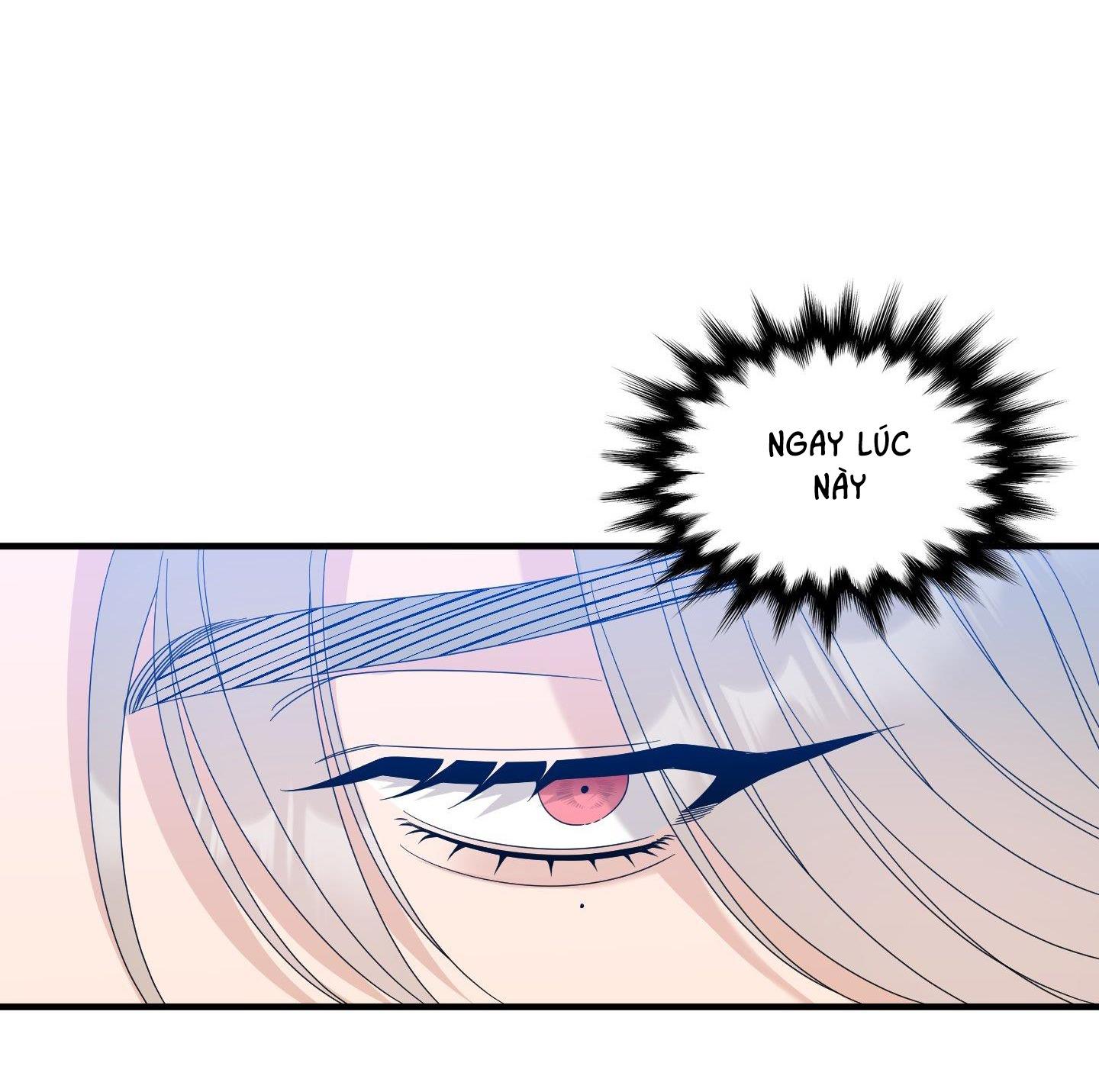 smyrna và capri chapter 56 51