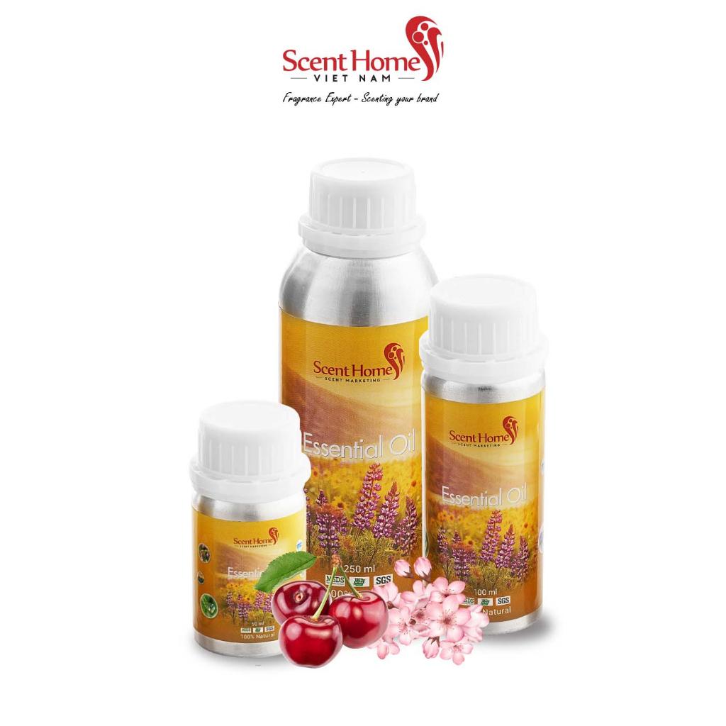 Tinh dầu Scent Homes - mùi hương