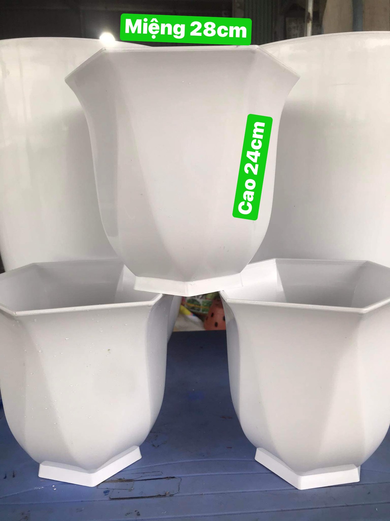 Chậu Nhựa Trồng Cây Cảnh, Hoa Trong Nhà Linh Lan Kt 28 x24cm Màu trắng