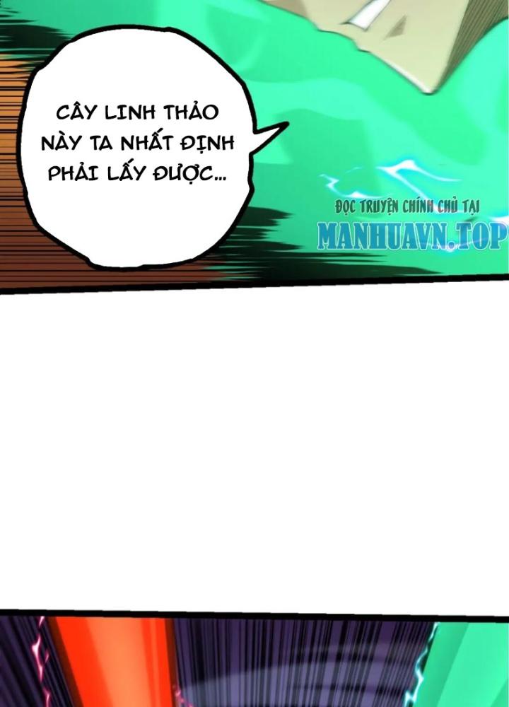 từ cây cổ thụ bắt đầu tiến hóa chapter 100 42