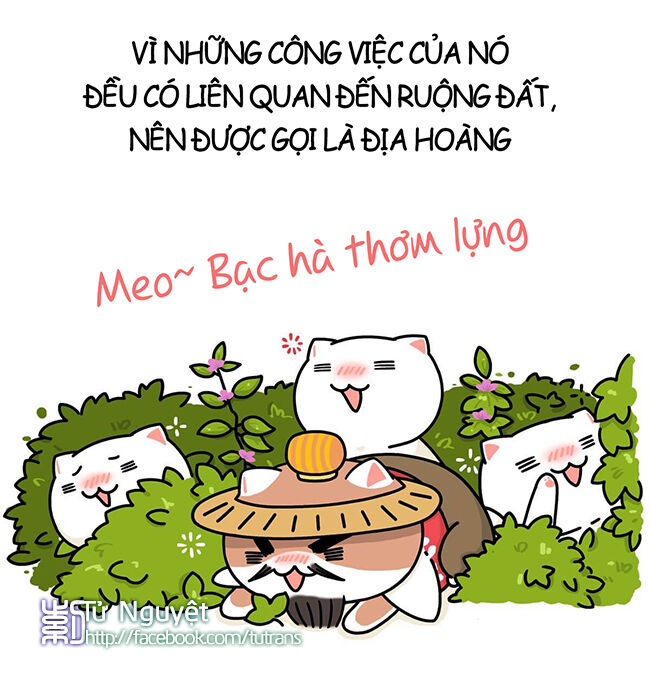 nếu lịch sử là một bầy mèo chapter 3 29