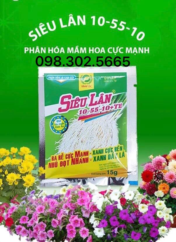 Hộp Siêu lân xanh kích thích ra rễ và phân hóa mầm hoa 10-55-10+ TE 15G