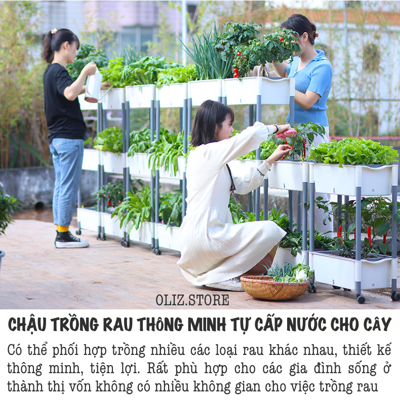 Chậu trồng rau Oliz D202. Chậu trồng rau thông minh tự dưỡng, có bánh xe di chuyển, phù hợp nhiều không gian