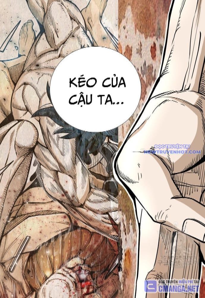 shark - cá mập chapter 252 77