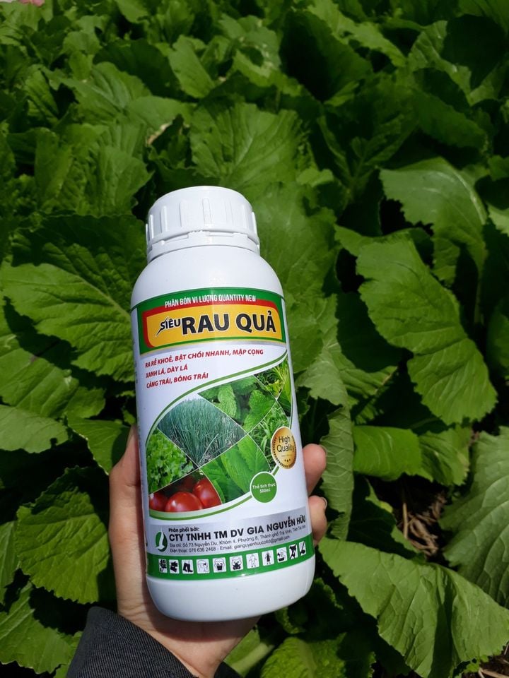 SIÊU RAU QUẢ - dưỡng cây mướt lá