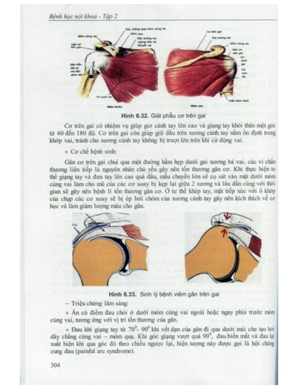 Sách - Bệnh học nội khoa tập 2 (Y)