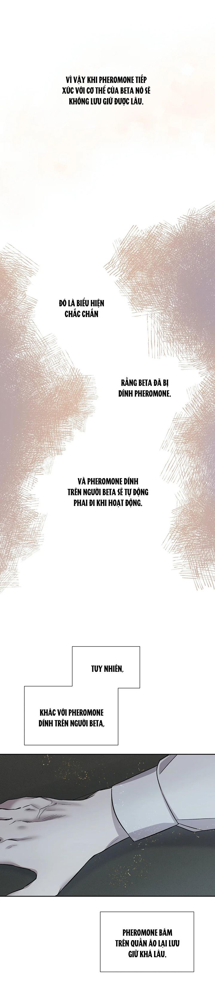 ám ảnh pheromone chapter 10 2
