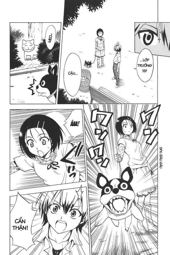 bọn tớ thích cậu! rito chapter 21 16