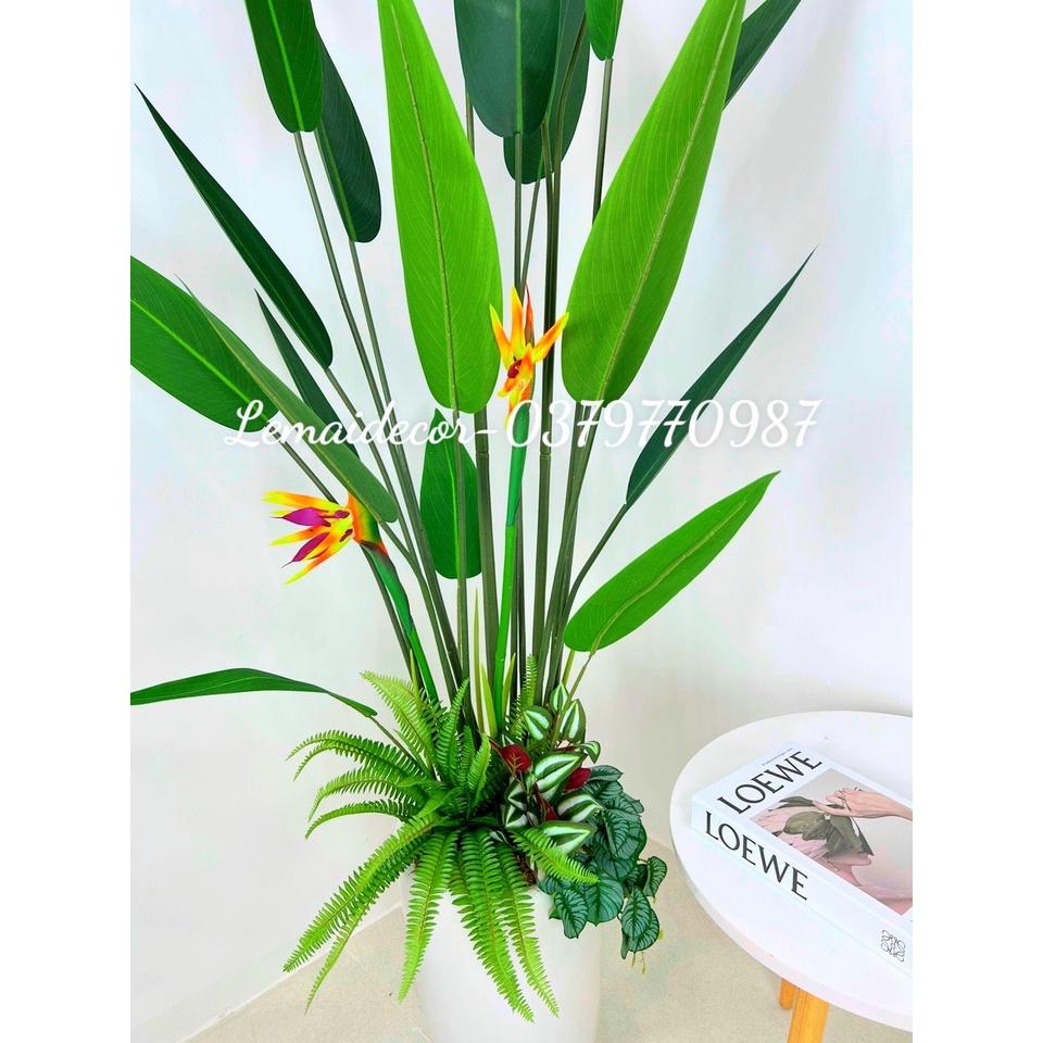 Cây thiên điểu lá nhọn 180cm giả
