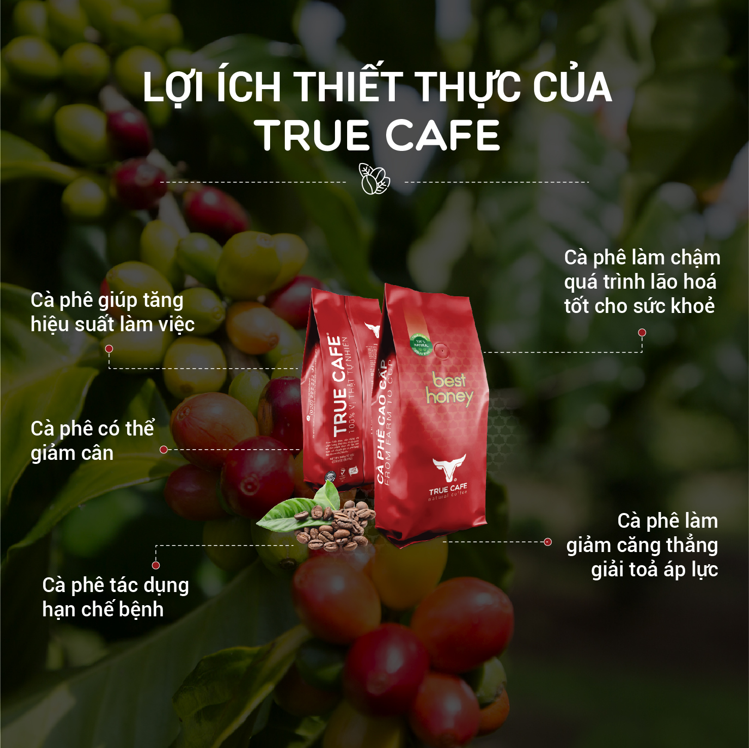 Cà phê cao cấp True Cafe Classic - 500g