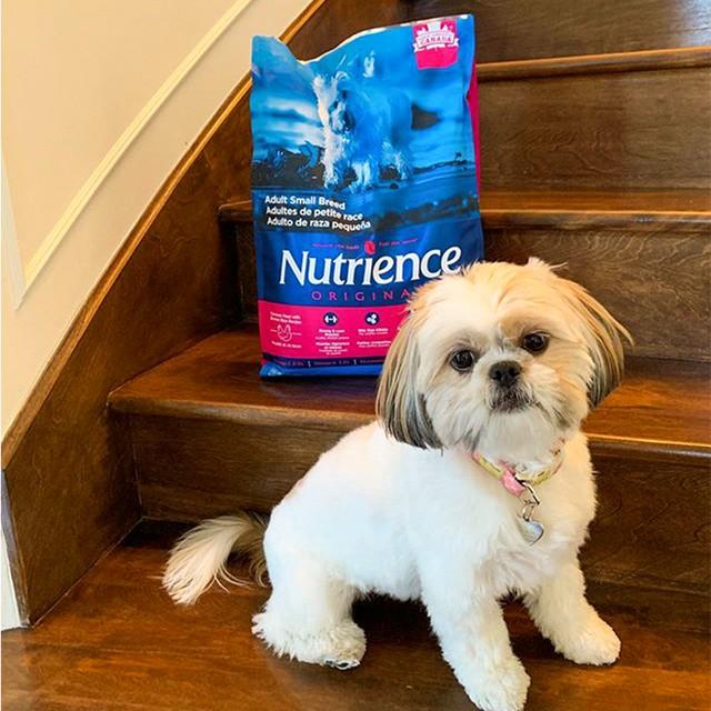 Thức Ăn Cho Chó Poodle Nutrience Original Bao 2,5kg Da Lông Bóng Mượt - Thịt Gà, Rau Củ Quả Trái Cây