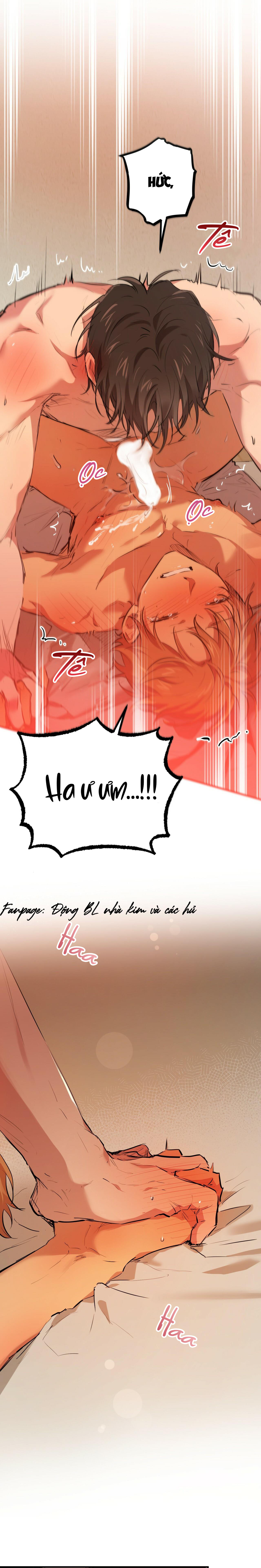 những chú thỏ của hapypy chapter 26 1