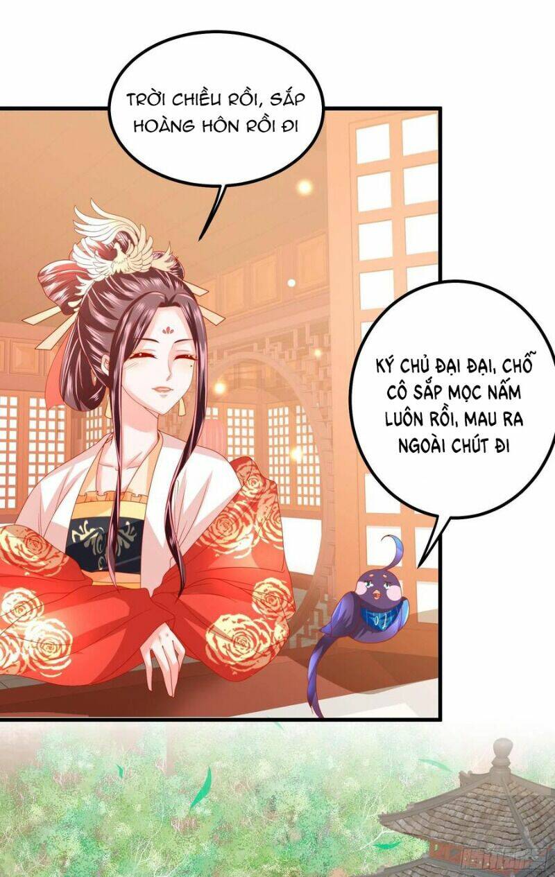ta phải làm hoàng hậu chapter 29 32