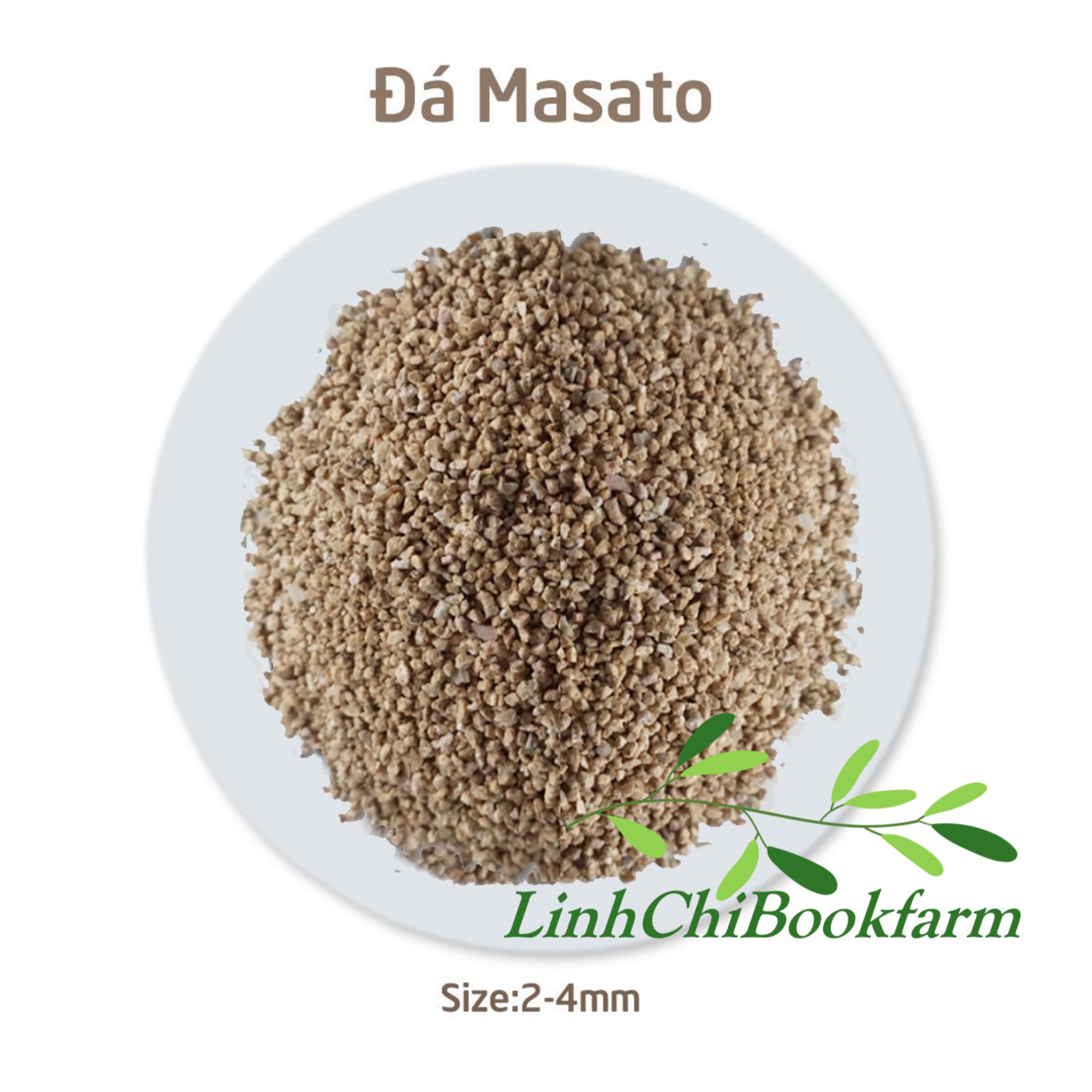 Đá Masato size 2-4mm - dùng rải mặt chậu giữ màu sen đá, xương rồng
