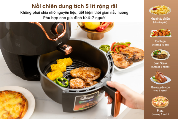 Nồi chiên không dầu FujiE AF4