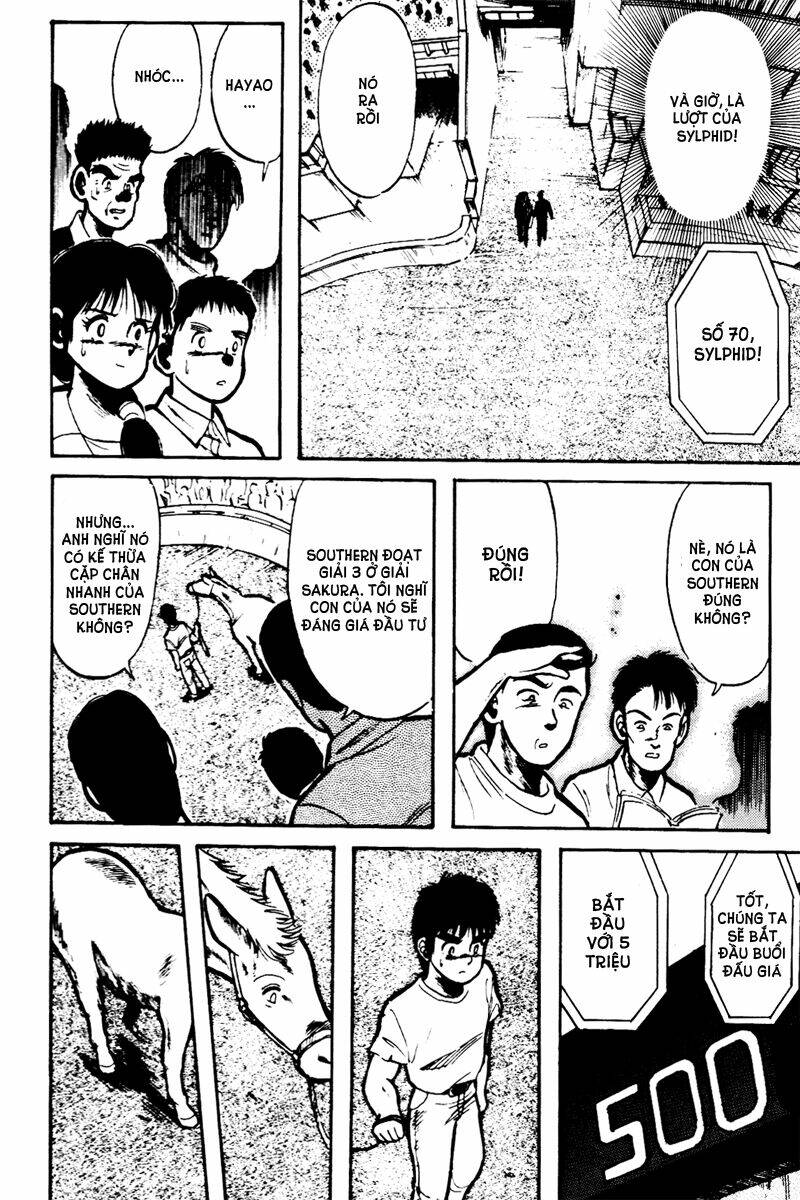 kaze no sylphid - phong mã silphid chapter 9 4