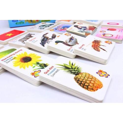 Bộ thẻ học flash card 16 chủ đề song ngữ Anh - Việt cho bé thông minh hơn