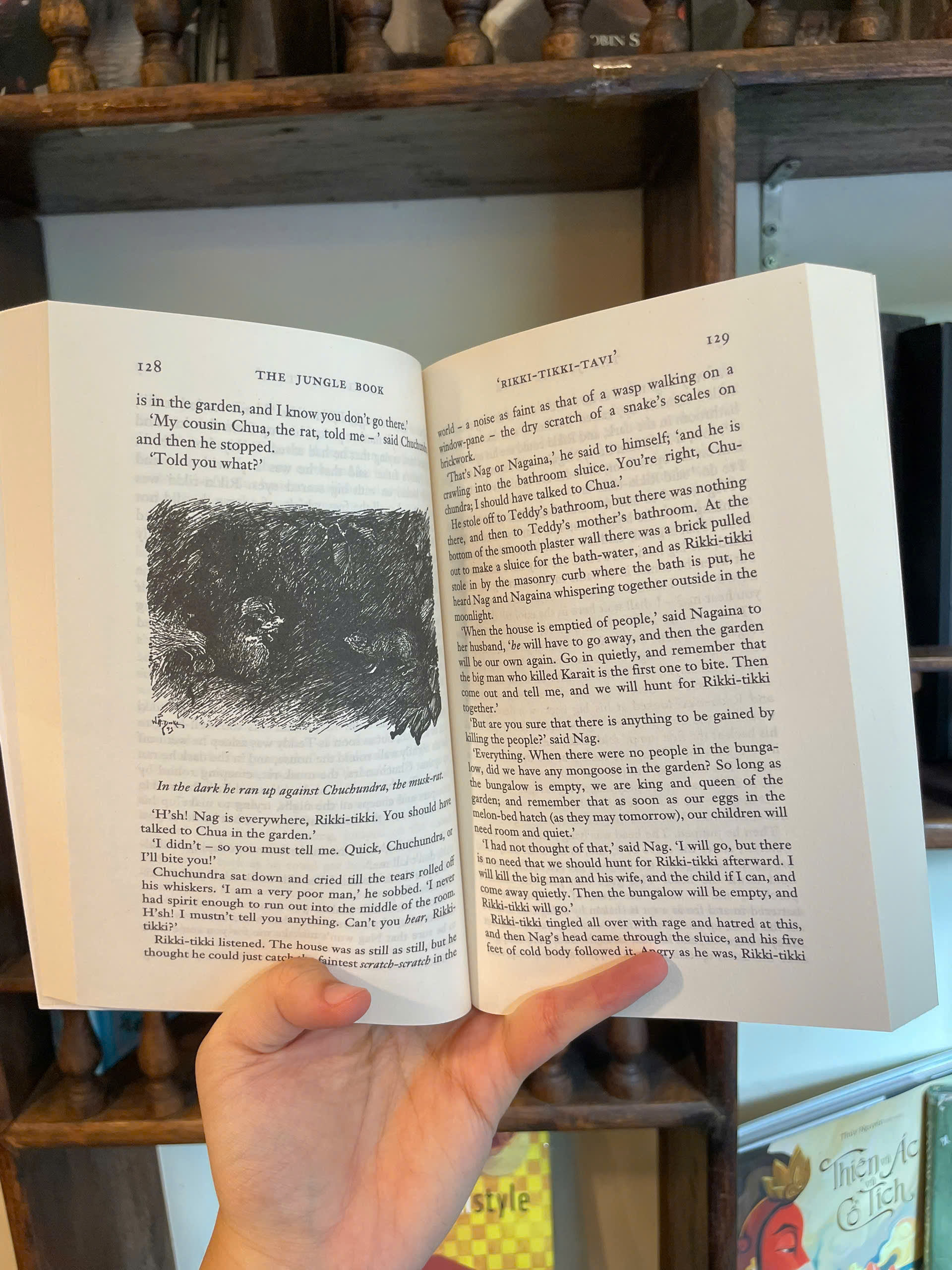 Sách - The Jungle Book by Rudyard Kipling - Classics/ Fiction/ Fantasy book in English - Ngoại Văn