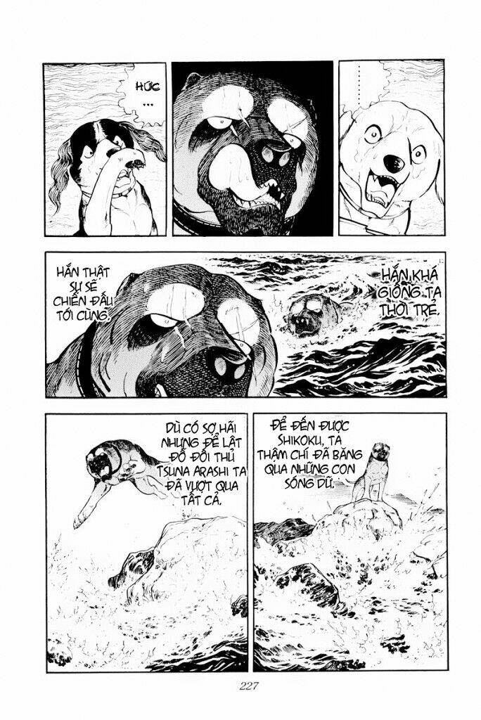 chú chó có nghĩa - ginga nagareboshi gin chapter 29.2 14